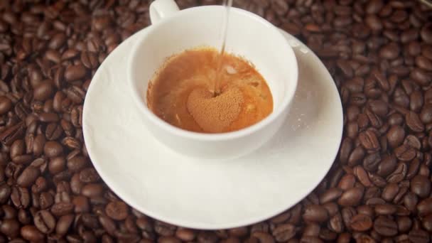 Tazza di delizioso caffè caldo e aromatico circondato da semi tostati — Video Stock