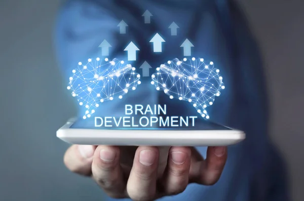 Hjärnor Med Pilar Artificiell Intelligens Och Utvecklingskoncept — Stockfoto
