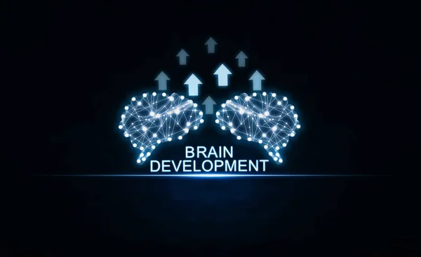 Hersenen Met Pijlen Kunstmatige Intelligentie Ontwikkelingsconcept — Stockfoto