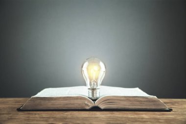 Açık kitap ampul ile. Fikir, bilgi ve eğitim