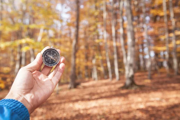 Compass in the hand in a forest.