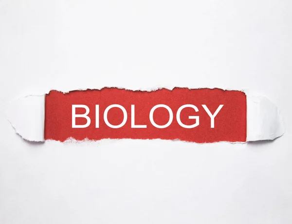 Slovo Biologie Roztrhaný Papír — Stock fotografie