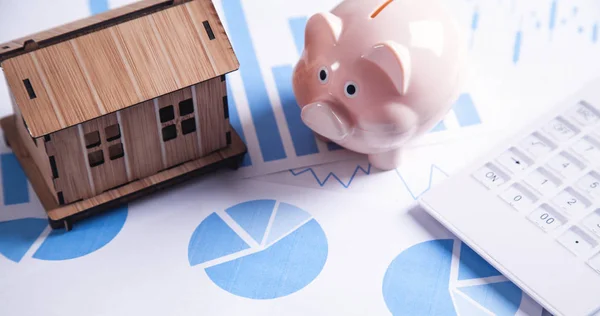 Huisnummer Model Piggy Bank Calculator Met Financiële Grafieken — Stockfoto