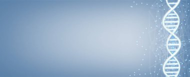 Sarmal Dna molekülleri. Genetik kod yapısını