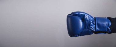 Boks eldivenleri ver. İş, güç, spor