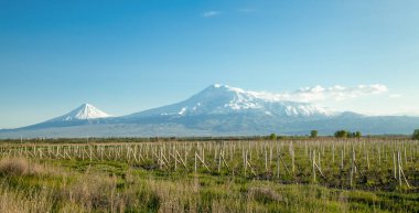 Güzel manzara. Ermenistan 'dan Ararat Dağları
