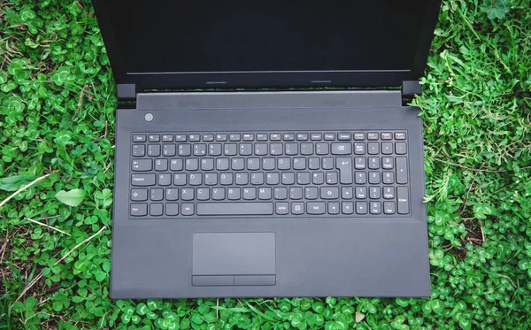 Laptop preto com tela em branco na grama . — Fotografia de Stock