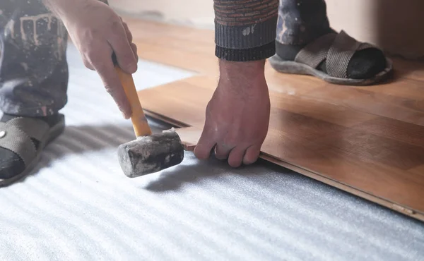 Installer Using Carpet Cutter On New Bedroom Floor Stock Photo - Download  Image Now - Doorway, Installing, Flooring - iStock