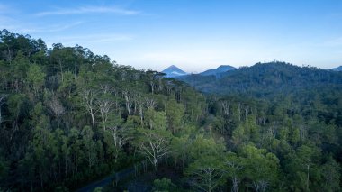 Gün batımında arka planda Inerie Dağı 'nın olduğu, sergilenen katmanlı manzaralar, doğal güzellik ve sıcak akşam ışığı ile birlikte ormanlık tepelerin baş aşağı muhteşem manzarası..
