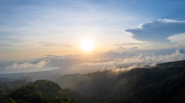 Güneş doğarken verimli tropikal orman vadisinin insansız hava görüntüsü. Yeşil ağaçlar, tepeler ve gökyüzünde yumuşak sabah ışığı olan manzaralı bir dağ manzarası. Güzel doğal manzara, huzurlu ve huzurlu çevre..
