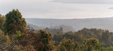 Güneş doğarken verimli tropikal orman vadisinin insansız hava görüntüsü. Yeşil ağaçlar, tepeler ve gökyüzünde yumuşak sabah ışığı olan manzaralı bir dağ manzarası. Güzel doğal manzara, huzurlu ve huzurlu çevre..