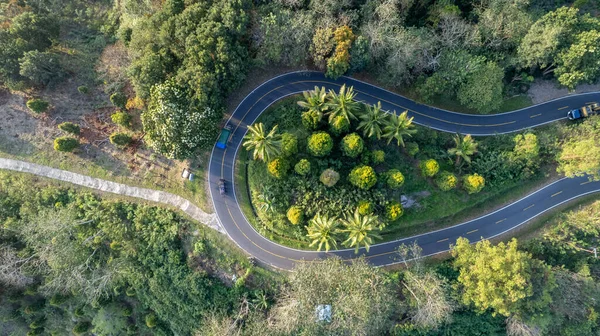 Yeşil ağaçlar ve palmiye bitkileriyle dolu verimli tropikal ormanı kesen kıvrımlı bir yolun drone hava görüntüsü. Seyahat, turizm, ulaşım ve macera kavramları için mükemmel..