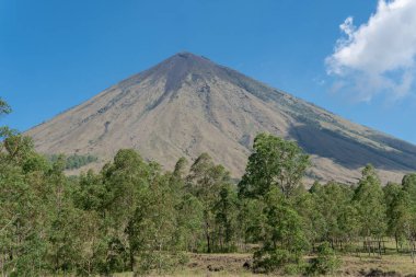 Endonezya, Flores 'te piramit şeklinde bir stratovolcano olan Inerie Dağı' nın manzarası, açık mavi gökyüzü ve ön planda yemyeşil ağaçlar.