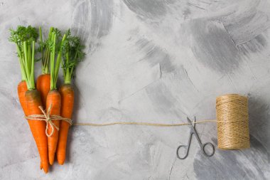 Yeşil yaprakları ile bağlı ile taze havuç demet sicim ve sicim biriktirme gri beton zemin üzerine. Yatay yönlendirme, düz yatıyordu, en iyi görünüm, kopya alanı için yer.