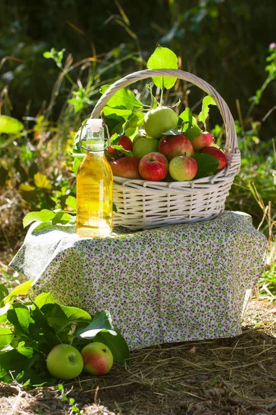 Yeşil ve kırmızı elma, elma suyu, meyve suyu veya cam şişe, sirke ile beyaz hasır sepet doğa arka planda, güneş ışığı bırakır. Yaz, sonbahar, taze elma hasat, hasat.