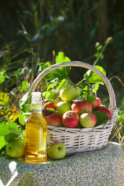 Yeşil ve kırmızı elma, elma suyu, meyve suyu veya cam şişe, sirke ile beyaz hasır sepet doğa arka planda, güneş ışığı bırakır. Yaz, sonbahar, taze elma hasat, hasat.