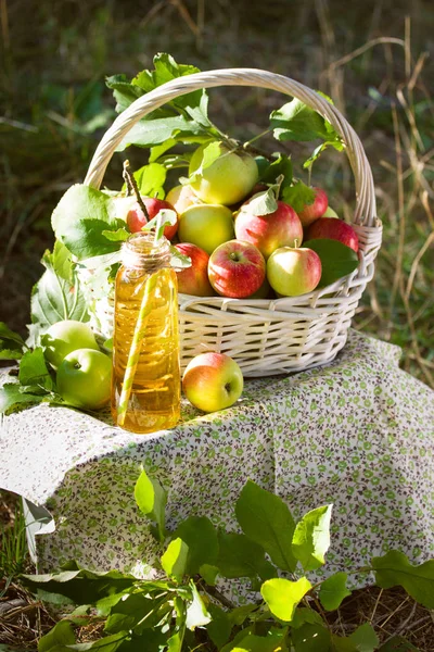 White wicker basket with green and red apples, apple cider, juice or vinegar in glass bottle, leaves on nature background, sunlight. Summer, autumn, fresh apple harvest, harvesting.