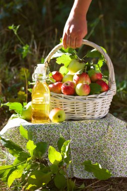 Yeşil ve kırmızı elma, elma suyu, meyve suyu veya cam şişe, sirke ile beyaz hasır sepet doğa arka planda, güneş ışığı bırakır. Yaz, sonbahar, taze elma hasat, hasat.