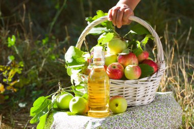 Yeşil ve kırmızı elma, elma suyu, meyve suyu veya cam şişe, sirke ile beyaz hasır sepet doğa arka planda, güneş ışığı bırakır. Yaz, sonbahar, taze elma hasat, hasat.