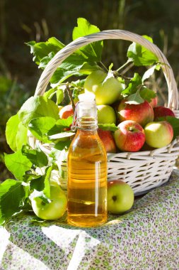 Yeşil ve kırmızı elma, elma suyu, meyve suyu veya cam şişe, sirke ile beyaz hasır sepet doğa arka planda, güneş ışığı bırakır. Yaz, sonbahar, taze elma hasat, hasat.