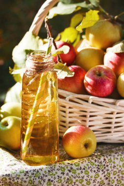 Yeşil ve kırmızı elma, elma suyu, meyve suyu veya cam şişe, sirke ile beyaz hasır sepet doğa arka planda, güneş ışığı bırakır. Yaz, sonbahar, taze elma hasat, hasat.