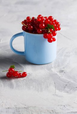 Somun kazık (ribes rubrum) hafif beton zemin üzerine mavi Kupası'nda. Yemek arka plan, dikey yönlendirmesi, kopya alanı için yer.