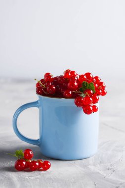 Somun kazık (ribes rubrum) hafif beton zemin üzerine mavi Kupası'nda. Yemek arka plan, dikey yönlendirmesi, kopya alanı için yer.