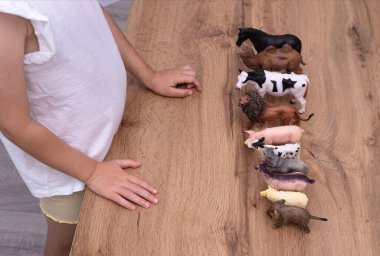 Otistik çocuk masaya hayvan figürlerini diziyor. Otizm spektrum bozukluğu, nöroçeşitlilik ve gelişim bozukluğu kavramı.