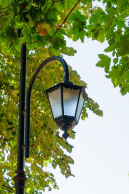 Kaliteli bir sokak lambası canlı yeşil yeşillikler arasında zarif bir şekilde duruyor güneşli bir günde huzurlu park atmosferini aydınlatıyor huzur ve cazibe hissi yaratıyor..