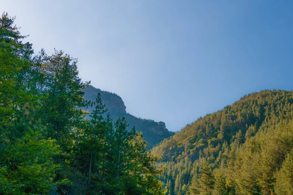 Açık mavi gökyüzü ve doğal güneş ışığıyla çerçevelenmiş, yoğun çam ağaçları ve kayalık sırtı olan ormanlık bir dağ yamacının manzarası. Huzurlu vahşi doğa sahnesi.