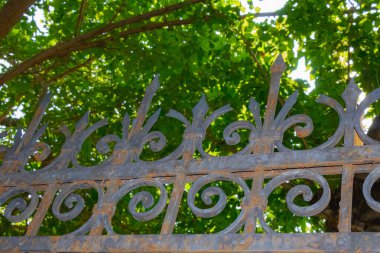 Doğal gün ışığında yemyeşil yeşilliklere karşı döşenmiş, süslü desenli ve görünür pas desenli eski bir demir çitin ayrıntılı görüntüsü..