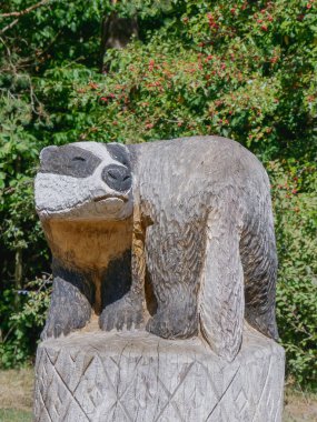 Bir orman parkına yerleştirilmiş el yapımı ahşap porsuk heykeli. Ağaç gövdesinden oyulmuş. Detaylı kürk dokusu ve doğal arka plan..