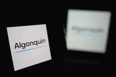 Roosendaal, Hollanda - 14 Eylül 2025: Algonquin 'in şirket logosunu gösteren bir cep telefonu.