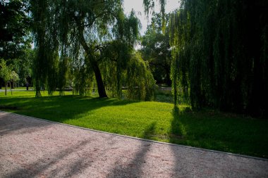 sokakta bahar Parkı