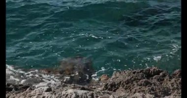 Close-up 4K footage of sea waves crashing against rocky shore. Perfect for use in travel videos, relaxation backgrounds, nature documentaries, or cinematic projects.