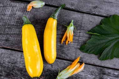 Taze genç sarı kabak. Vejetaryen arka plan.