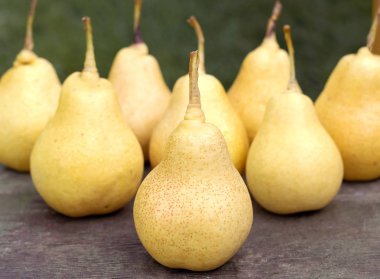 Yeşil çimen, arka plan üzerinde sarı armut.