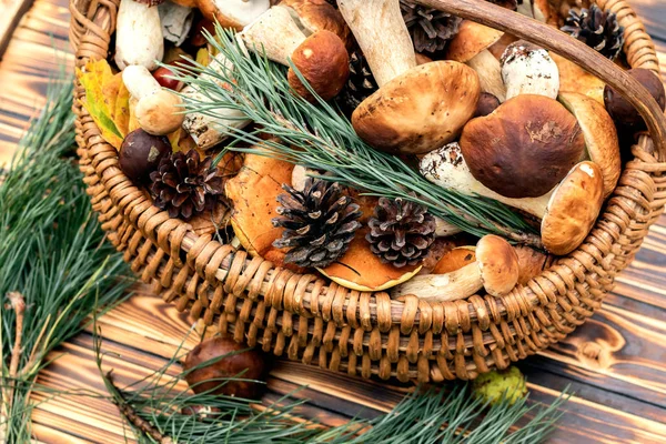 Boletus Champiñones Cesta Estilo Rústico Luz Natural Cerca Fondo Otoño — Foto de Stock