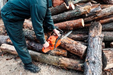 Erkek oduncu fells chainsaw orman. Adam ormandaki testere ile ağaç keser.