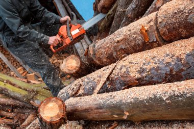 Erkek oduncu fells chainsaw orman. Erkek el holding testere. Forester'ın iş.