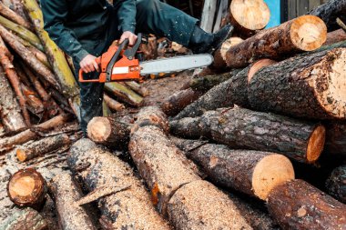 Erkek oduncu fells chainsaw orman. Erkek el holding chainsaw.