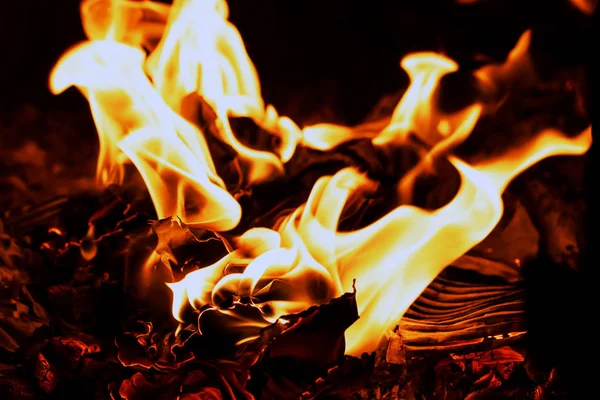 Books and paper burning in fireplace. — Stock Photo, Image