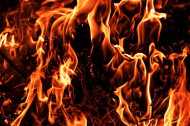 Siyah arka plan üzerine alevler ateş. Ormanda yanan odun.