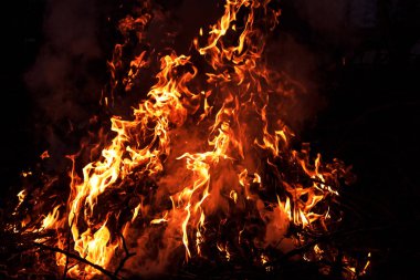 Siyah arka plan üzerine alevler ateş. Ormanda açık havada alev.