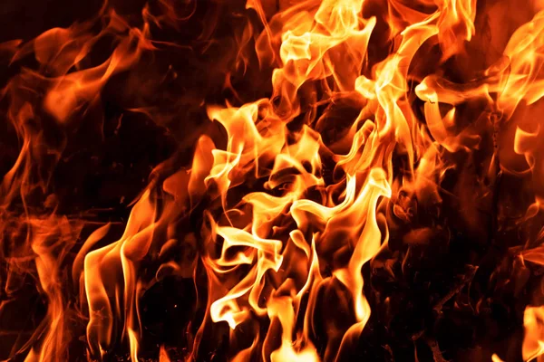 Siyah arka plan üzerine alevler ateş. Yakın çekim.