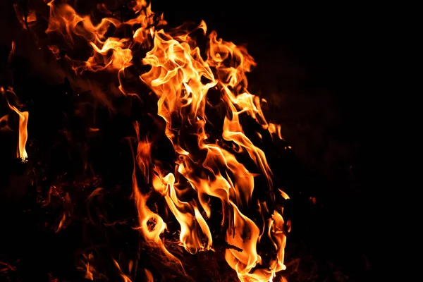 Fire flames on black background. — Stock Photo, Image