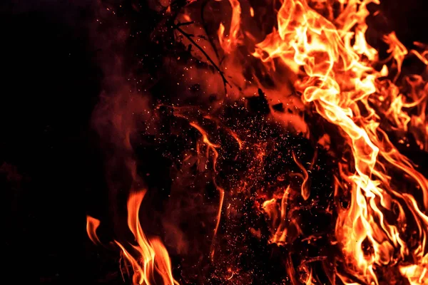 alevler siyah arkaplanda.