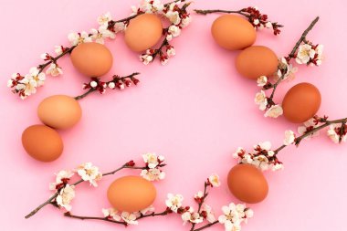 Pastel pembe arka planda Paskalya tavuk yumurtası ve bahar çiçekleri çerçevesi. Kopya alanı ile üst görünüm.