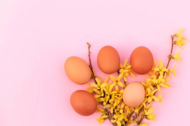 Tavuk yumurtası ve bahar çiçekleri ile Paskalya arka plan. Kopya alanı ile üst görünüm.