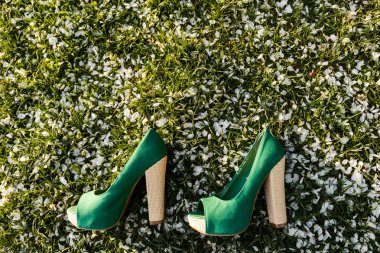 Yeşil çimen arka planında yeşil topuklu ayakkabılar. Konsept ayakkabılar, boş zaman, seyahat, bahar. Metin için yer.
